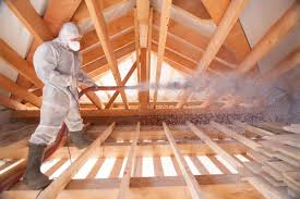 Professional Insulation Services in Lake Wazeecha, WI